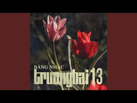 Trăng khuya - Trường Hải