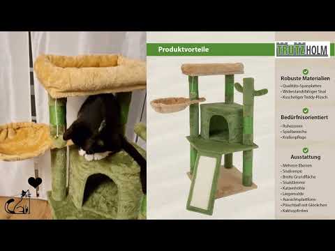 42045 Kratzbaum im Kaktus-Design getestet von Katze Flauschi