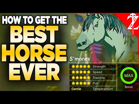 How to Get a 20⭐️ BEST Horse in Tears of the Kingdom (All Malanya Recipes)