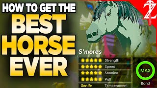 How to Get a 20⭐️ BEST Horse in Tears of the Kingdom (All Malanya Recipes)