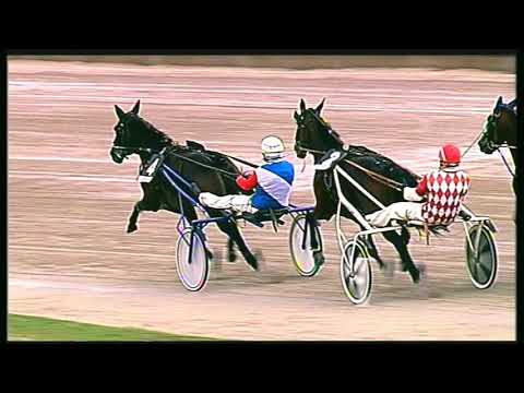 Trotto 16/10/2020 - 5ª corsa