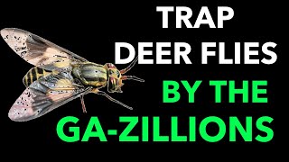Deer Fly Control - Kill deer flies while you are away - DIY Deer Fly Trap