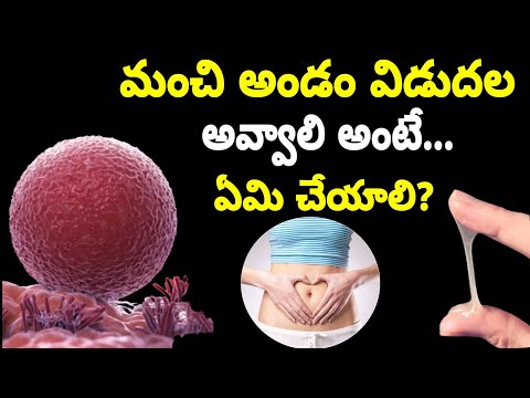 Best Food to Conceive fast in telugu | వెంటనే గర్భం దాల్చాలనుకుంటే ఈ ఆహారం తీసుకోండి