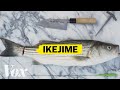 The right way to kill a fish The right way to kill a fish