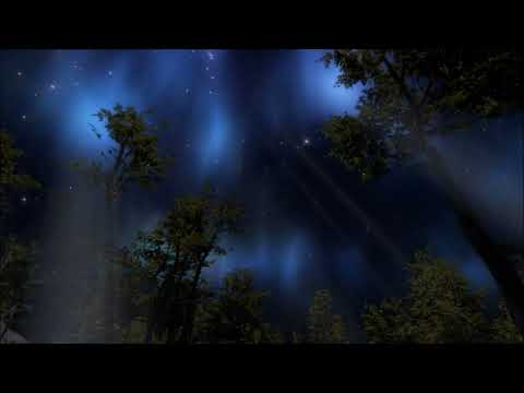 PSALM 78 / Gottes Geschichte mit seinem Volk