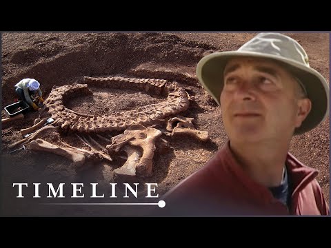 Dinosaur Hunt: A Time Team Special