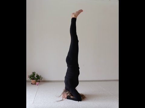 Der Kopfstand in 14 Tagen -  Yoga Arte