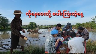 အခုလို အညာဓလေ့ တောဓလေ့ video လေးတွေကြိုက်နှစ်သက်ရင် Subscribe လေးလုပ်ခဲ့ပေးပါဦးဗျို့