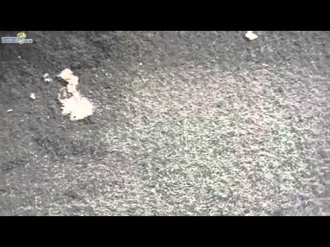 download lagu mp3 mp4 Comment Enlever Un Chewing Gum Sur Un Tapis, download lagu Comment Enlever Un Chewing Gum Sur Un Tapis gratis, unduh video klip Comment Enlever Un Chewing Gum Sur Un Tapis