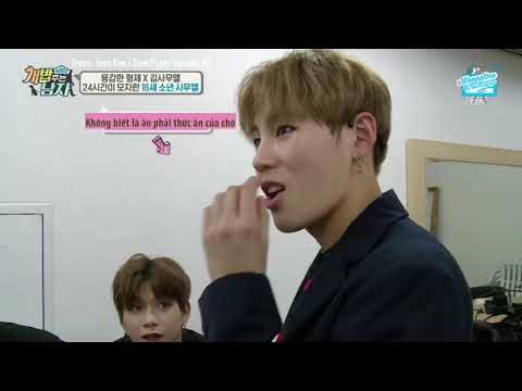 VIETSUB 170916 Wanna One & Samuel   A Man Who Feed the Dogs Cut