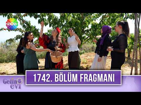 TV Programları