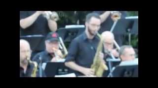 Carlton Jackson/Dave Mills Big Band / 2013 washington park