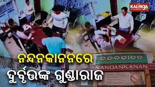 2 Armed miscreants unleash Reign of Terror at Nandankanan Deputy Director's Office || KalingaTV
