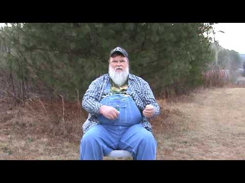 the boy and the duck joke by storyteller orville hicks