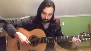 Vida y Otra Cuestiones-Silvio Rodríguez (guitarra)