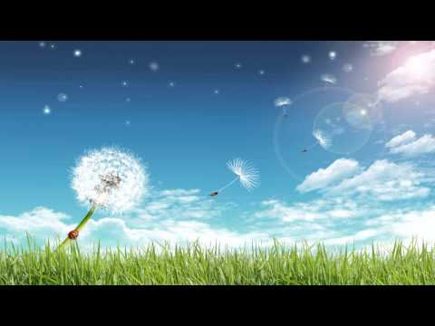 Chapter XJ - Arise (Original Mix) [HD]