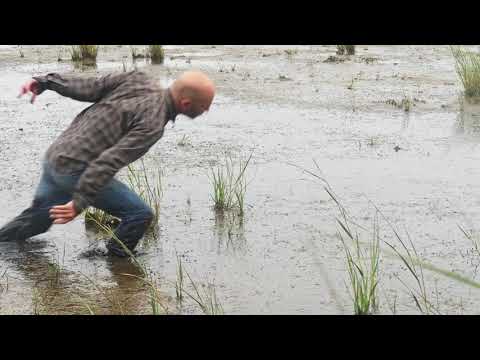 TUSK TV April 2021 - Chik White - Marshlands