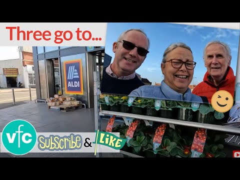 Three go to Aldi 😂 The Tea Boys and Jane go Shopping 😲