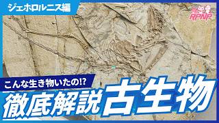 Download lagu 【古生物学】RPNP古生物学ニュース「熱河の鳥!ジェホロルニス編」#恐竜 #化石 #解説 mp3 Download lagu 【古生物学】RPNP古生物学ニュース「熱河の鳥!ジェホロルニス編」#恐竜 #化石 #解説 mp3