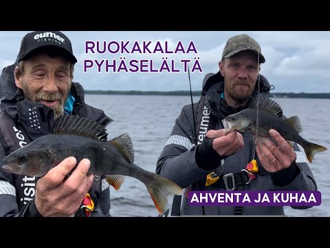 Jigikalastusta Pohjois-Karjalassa • Saimaan Pyhäselkä • Ruoaksi ahventa, kuhaa ja haukea • Kalastus