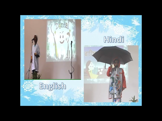 MSB - Seasons and Professions