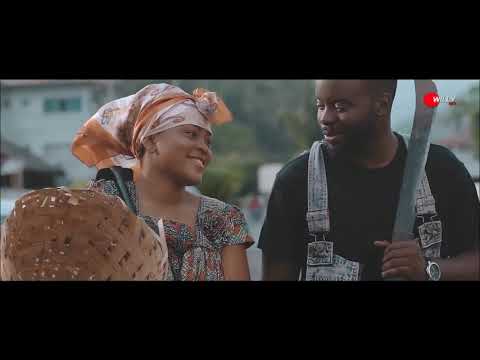 WILLY MIX  2019 AFROCAMER ET PLUS