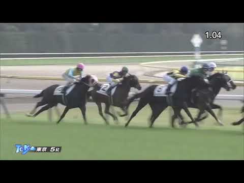 【競馬】【上り33.2】レディマクベス 18年10月27日 東京 5R ２歳新馬 芝1600m