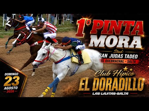 1°PINTA MORA  2°NIÑA MARIA  3°BAILARINA  Club Hípico El Doradillo-Las Lajitas-Salta Dom 23 Ago 2026