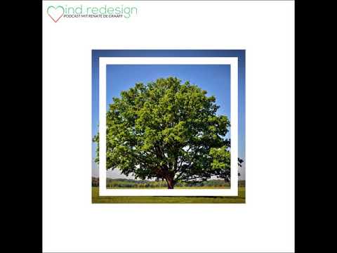 🔴 GLÜCK IST EINE LEBENSEINSTELLUNG - Akzeptiere dein Gutes | #30 Podcast von Renate de Graaff