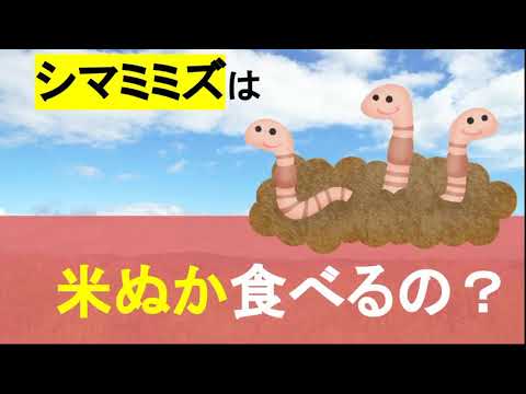 ミミズは何を食べますか?