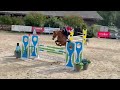 Jument de sport à vendre: Guarana Bo Regard