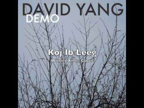 Koj Ib Leeg Winner New Remix - David Yang