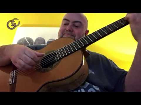 ✦ Guitar Wishes ✦ Scott Tennant ✦