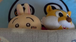 【ぬい活Vlog】#01 明太うどんに卵をのせるとうまい