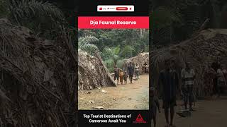 Top Tourist Destinations of Cameroon Await You  #africantourism
