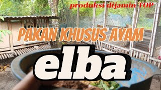 Download lagu The most 👉 'TOP' feed for Elba chickens... guaranteed to produce really Joss eggs 👍 mp3 Download lagu The most 👉 'TOP' feed for Elba chickens... guaranteed to produce really Joss eggs 👍 mp3