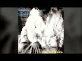 [1996] Vinicius Cantuária – Sol Na Cara [Full Album]