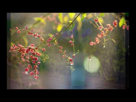 Hạnh phúc - Anh Bằng