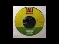 Jah Warrior - Positive Dub - Jah Warrior Records JW728A