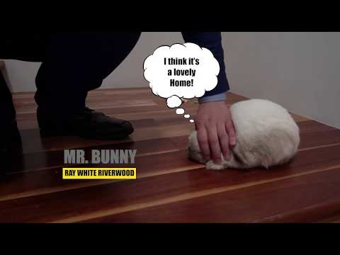 8 Edith St Hurstville