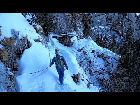 Bucegi iarna: Gura Diham - Poteca Take Ionescu - Cabana Mălăiești