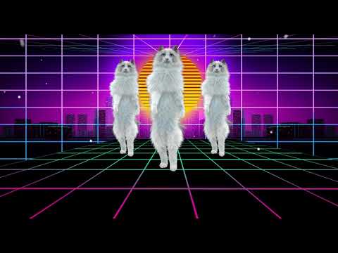 Break Out - The Official Cat Video - Jeffrey James & Dave Audé