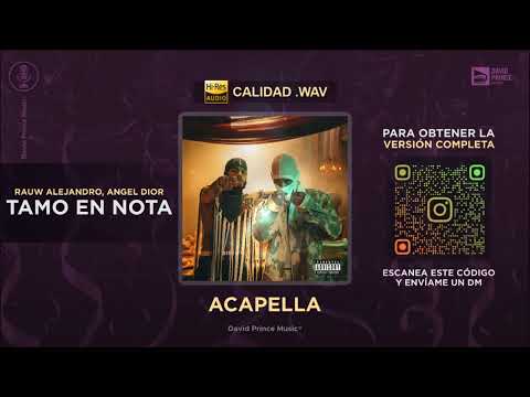 Rauw Alejandro x Angel Dior - TAMO EN NOTA 🎙️ ACAPELLA (By David Prince Music)