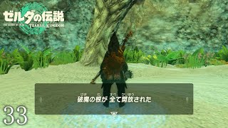 【ゼルダの伝説totkその33】地底の根っこもコンプリート！あとはサブクエが残るだけだ！