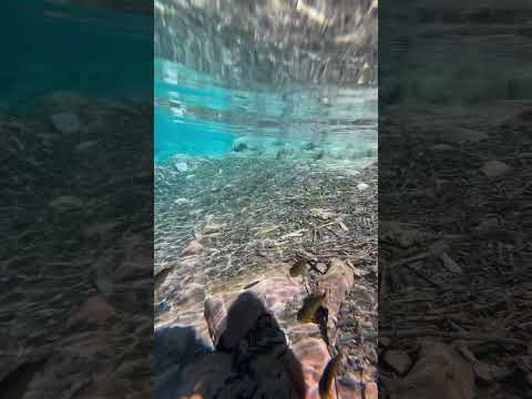 Parece mentira em Vila Bela da Santíssima trindade mt #travel #matogrosso