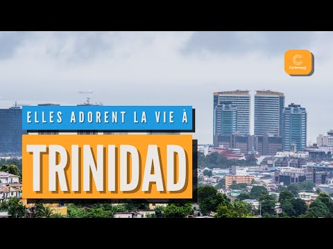 , title : '[EN DIRECT] S'expatrier à Trinidad'