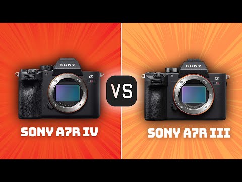 Sony A7R IV vs Sony A7R III: Which Camera Is Better? (With Ratings & Sample Footage)