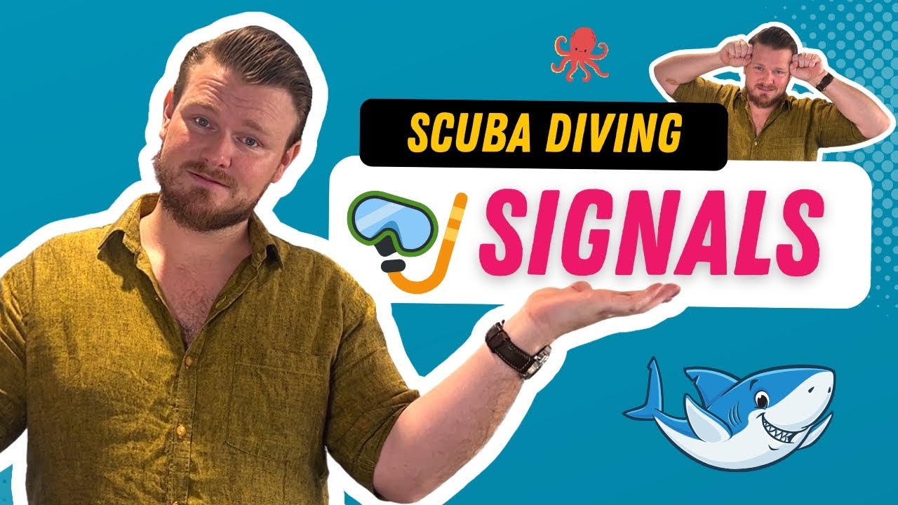Scuba Diving Hand Signals 101 | Your Comprehensive Guide from Big Ocean Dive
