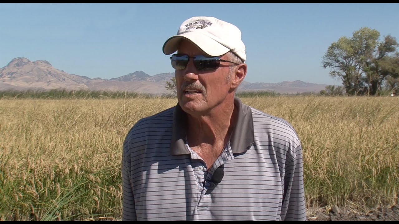 Healthy Soils, Quality Food