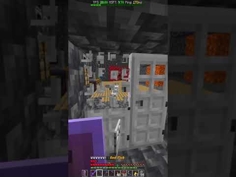 this base had OP items & Doggos on a minecraft Anarchy server! - IP is focalpoint.fun #shorts